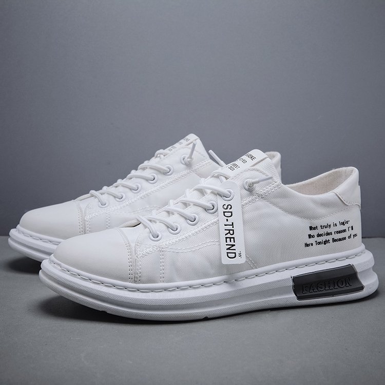 Neue modische Herren-Segeltuchschuhe, dünn, atmungsaktiv und leicht_voghion.com